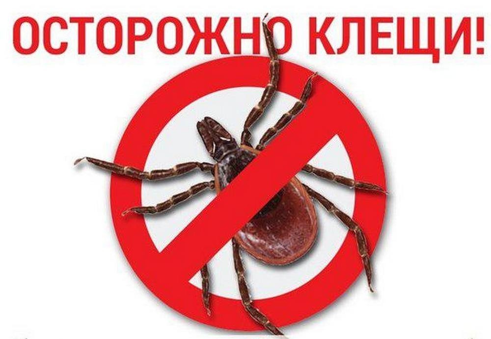 Защита от клещей.